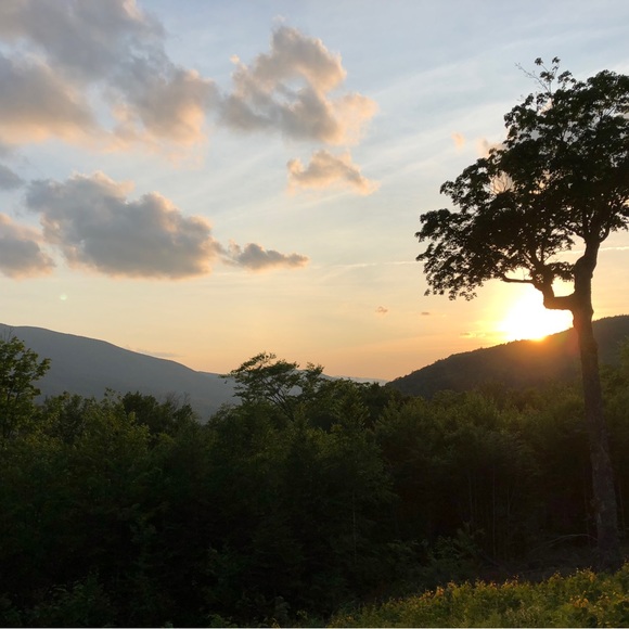 Meet your Posher, Rebecca - Picture 11 of 15